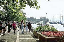 Zurich and Lake Zurich